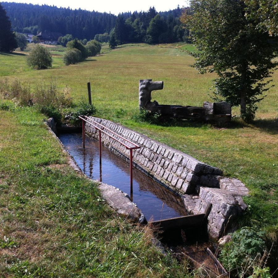 Ferienwohnung Waldblick Todtnau Exterior foto